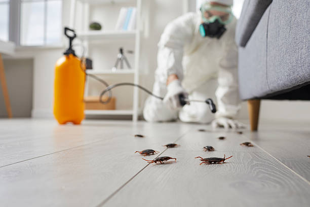 Commercial Kitchen Cockroach Control in Avon Lake